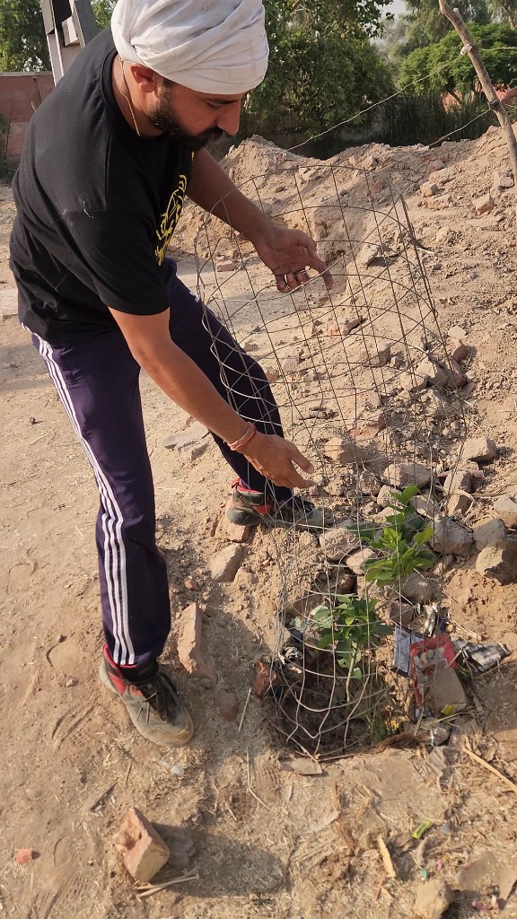 Securing Plant Tree-Guards